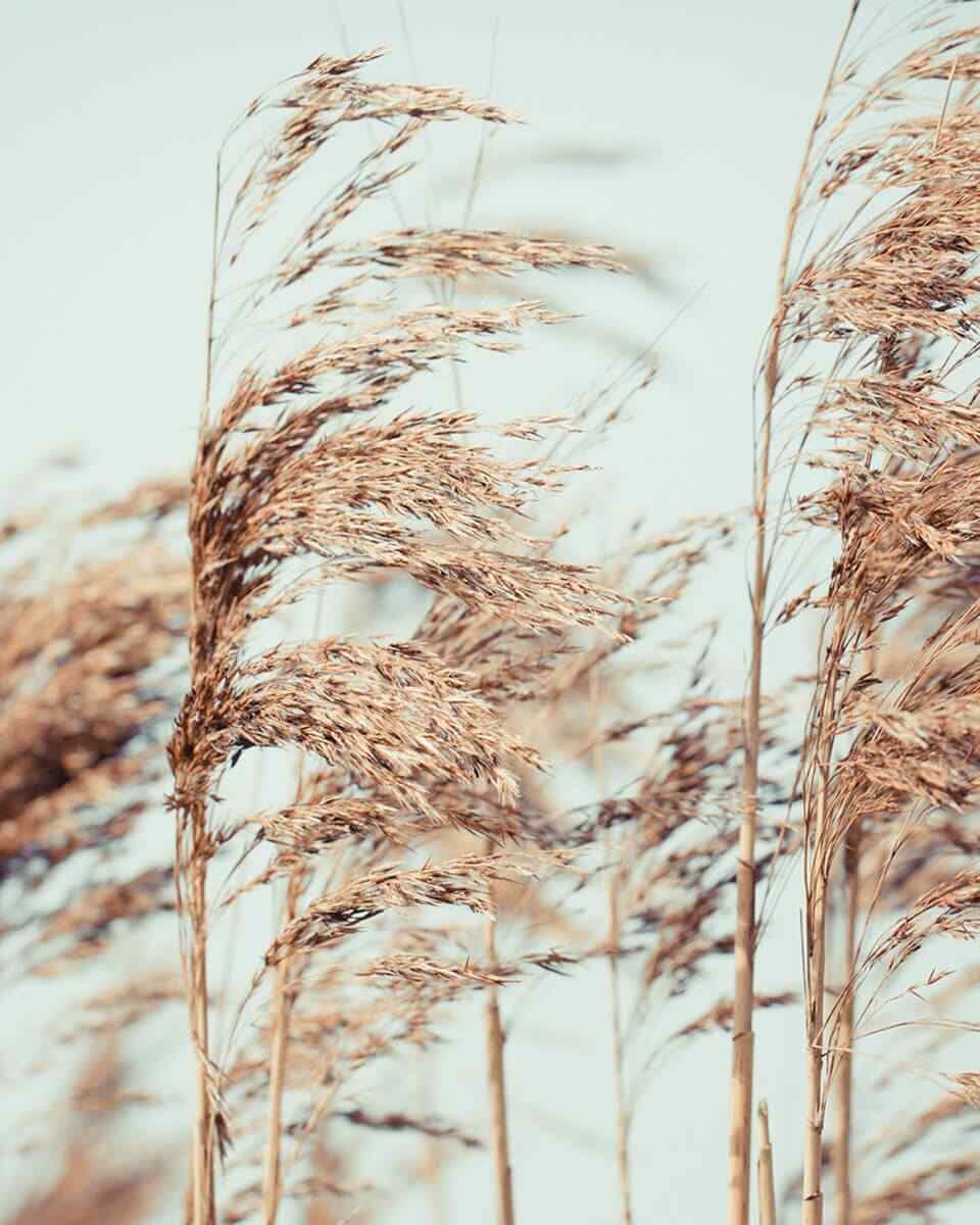https://work.studiographite.graphics/wp-content/uploads/2018/04/post_11-960x1200.jpg